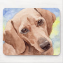 Recherche de canin électronique Aquarelle