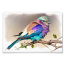Recherche de poitrine art Des oiseaux