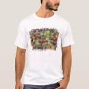 Search for basket tshirts Fruit