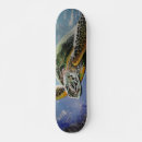 Recherche de espèces skateboards Océan