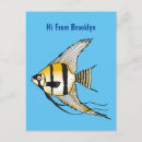 Search for angelfish postcards Tropical fish