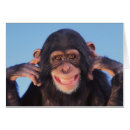 Recherche de singe idiot cartes postales Chimpanzés