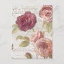 Search for pastel rose postcards Roses