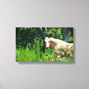 Recherche de chevaux impressions sur toile Animal