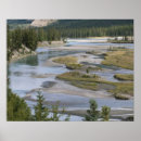 Search for running posters Forest