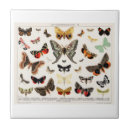 Recherche de bouteilles carreaux Papillon