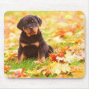 Search for alertness mousepads Dog