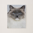 Search for ragdoll cat puzzles Feline