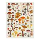 Recherche de champignons posters Boisé