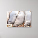 Search for elephant painting canvas prints Nature