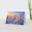 Search for monte cards Winter