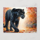 Search for black jaguar postcards Panther