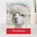 Search for alpaca christmas cards Funny