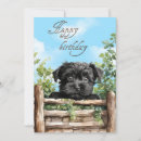 Search for affenpinscher cards Cute
