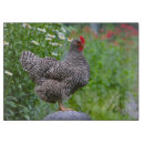 Recherche de poulet planches à découper Volaille