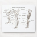 Recherche de muscles tapis souris Bras