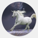 Search for unicorn picture stickers Horse