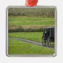 Search for amish ornaments Farm