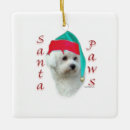 Search for bichon ornaments Frise