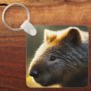 Search for wombat keychains Wildlife
