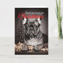Search for funny dog christmas cards Friends