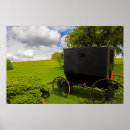 Search for buggies posters Rural