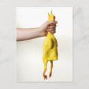 Search for choke the chicken Humour