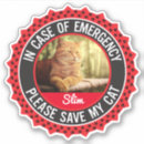 Search for big cat fur stickers Kitten