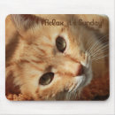 Search for relaxed mousepads Quote