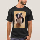 Search for boston tshirts Pet