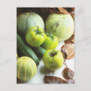 Recherche de melon cartes postales Vert