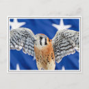 Recherche de plumage cartes postales Faune