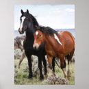 Recherche de chevaux sauvages posters Troupeau