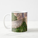 Search for tortoise coffee mugs pet