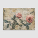Search for dusty rose tissue paper Roses