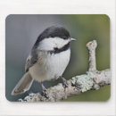 Search for backyard birds mousepads Nature