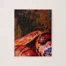 Search for corn snake Reptile