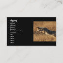 Search for coyote business cards Outdoors