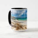 Search for sunlit mugs Nature photography