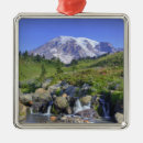 Search for mt rainier ornaments Landscape