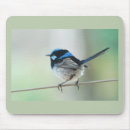 Search for wren mousepads Birds
