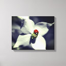 Search for black white animal canvas prints Photography