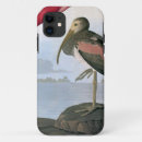 Search for john james audubon iphone cases Biology