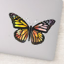 Search for lepidoptera stickers Butterfly