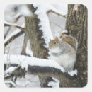 Search for low temperature stickers Wildlife