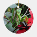 Search for hunter green ornaments Camouflage