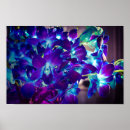 Search for blue orchid art Purple