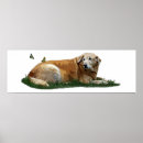Search for mutt posters Labrador