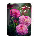 Search for think pink photography Thinking of you