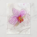 Recherche de orchidée rose cartes postales Nature